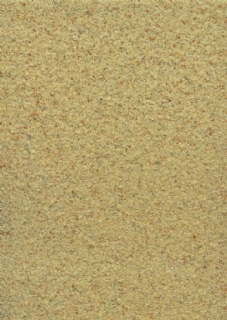 ʯ